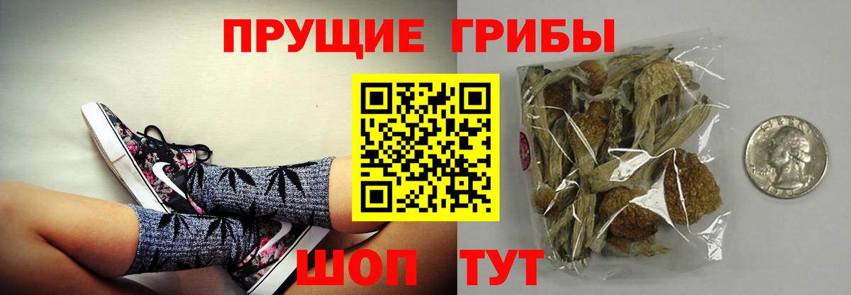 Бугуруслан  Псилоцибиновые грибы GOLDEN TEACHER  Вход с VPN 